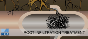 Sugar Land Plumber Mock Plumbing Root Infiltration Treatment